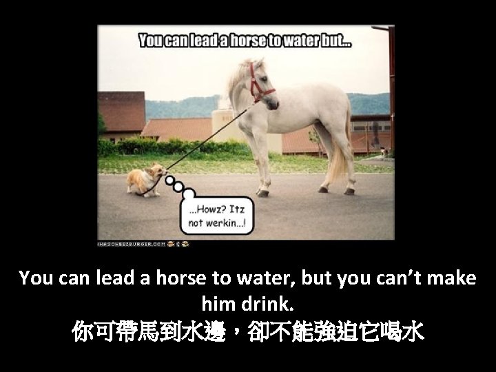 You can lead a horse to water, but you can’t make him drink. 你可帶馬到水邊，卻不能強迫它喝水