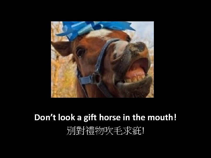 Don’t look a gift horse in the mouth! 別對禮物吹毛求疵! 