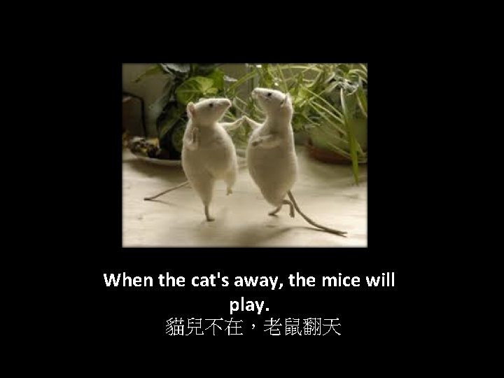 When the cat's away, the mice will play. 貓兒不在，老鼠翻天 