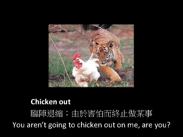 Chicken out 臨陣退縮；由於害怕而終止做某事 You aren’t going to chicken out on me, are you? 