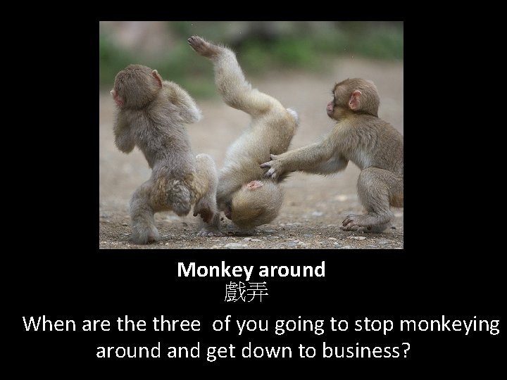 Monkey around 戲弄 When are three of you going to stop monkeying around and