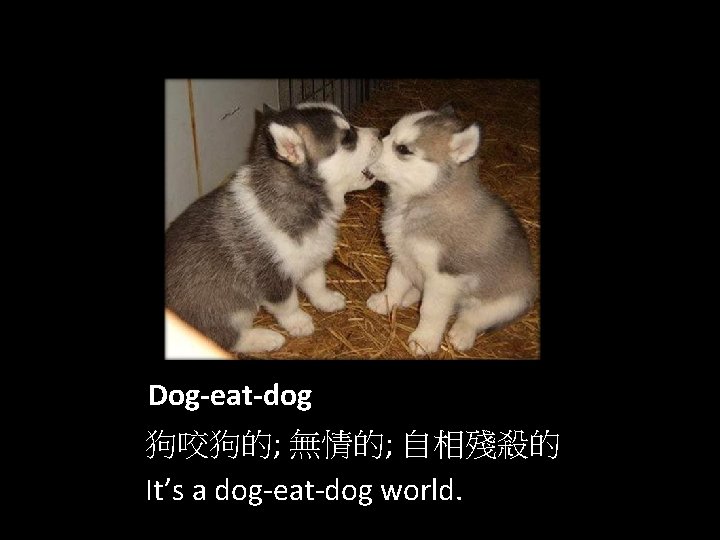 Dog-eat-dog 狗咬狗的; 無情的; 自相殘殺的 It’s a dog-eat-dog world. 