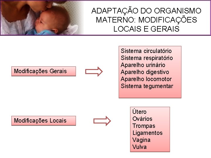 ADAPTAÇÃO DO ORGANISMO MATERNO: MODIFICAÇÕES LOCAIS E GERAIS Modificações Gerais Modificações Locais Sistema circulatório