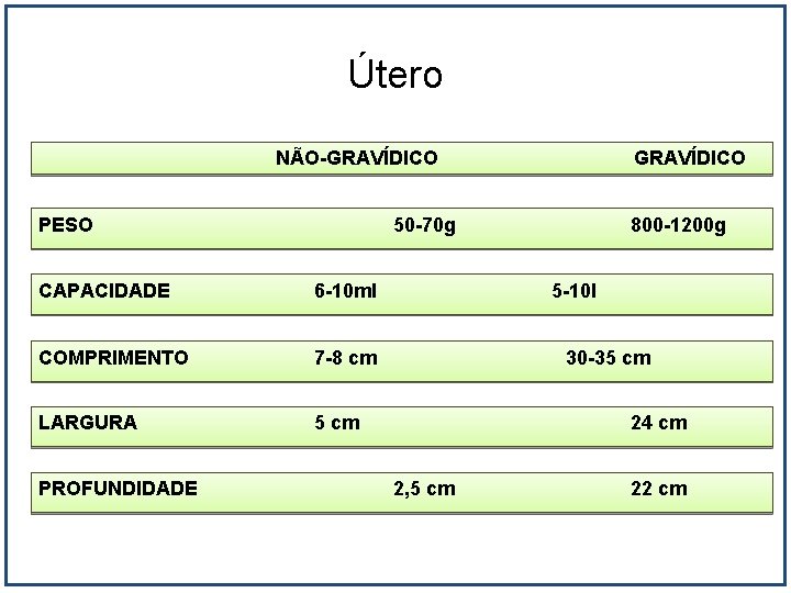 Útero NÃO-GRAVÍDICO PESO 50 -70 g CAPACIDADE 6 -10 ml COMPRIMENTO 7 -8 cm