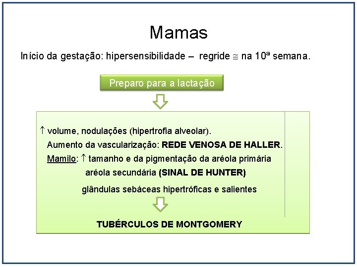 Mamas Início da gestação: hipersensibilidade – regride na 10ª semana. Preparo para a lactação