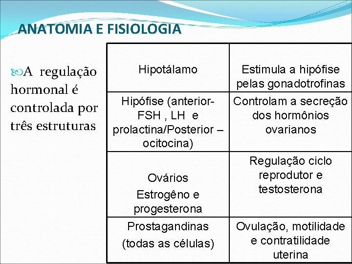 ANATOMIA E FISIOLOGIA A regulação hormonal é controlada por três estruturas Hipotálamo Estimula a