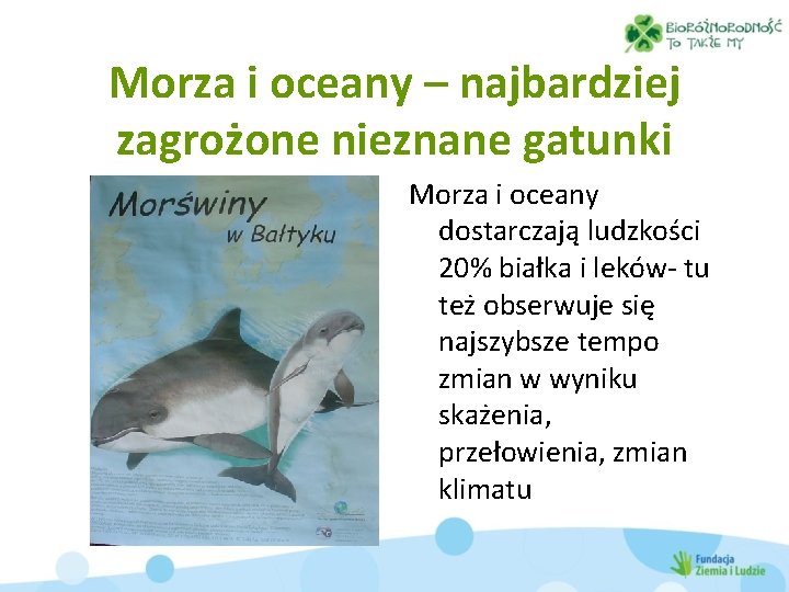 Morza i oceany – najbardziej zagrożone nieznane gatunki Morza i oceany dostarczają ludzkości 20%