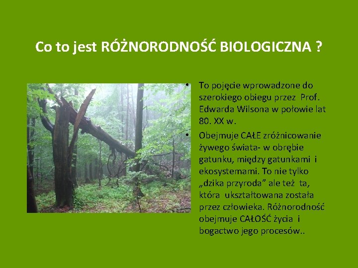 Co to jest RÓŻNORODNOŚĆ BIOLOGICZNA ? • To pojęcie wprowadzone do szerokiego obiegu przez