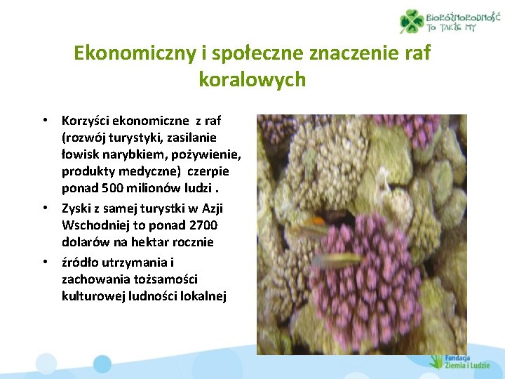 Ekonomiczny i społeczne znaczenie raf koralowych • Korzyści ekonomiczne z raf (rozwój turystyki, zasilanie