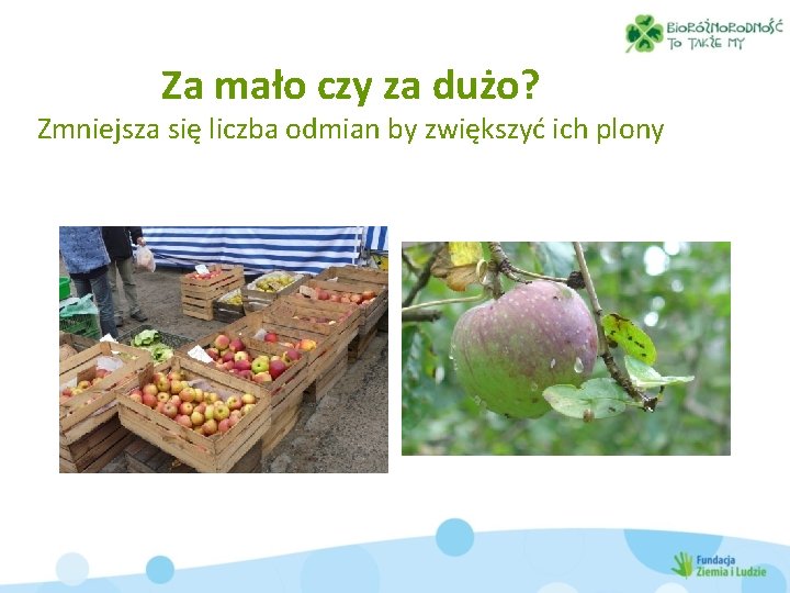 Za mało czy za dużo? Zmniejsza się liczba odmian by zwiększyć ich plony 