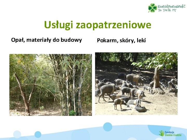 Usługi zaopatrzeniowe Opał, materiały do budowy Pokarm, skóry, leki 