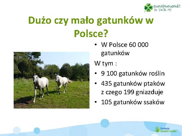 Dużo czy mało gatunków w Polsce? • W Polsce 60 000 gatunków W tym
