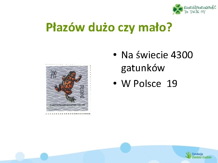 Płazów dużo czy mało? • Na świecie 4300 gatunków • W Polsce 19 