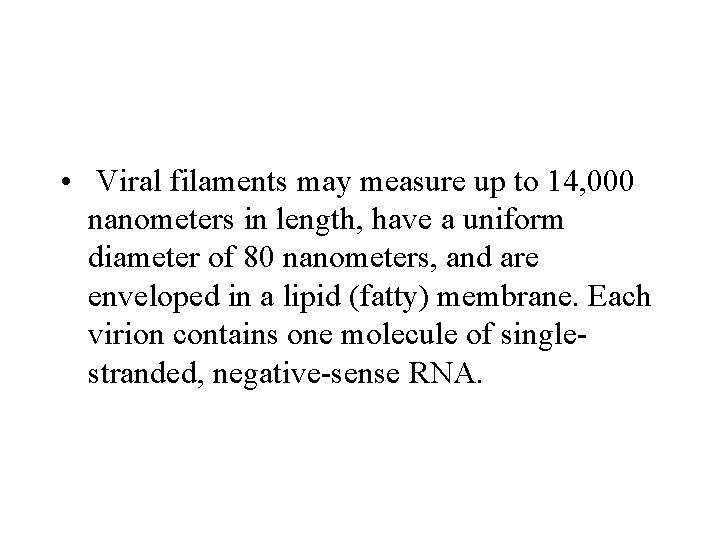  • Viral filaments may measure up to 14, 000 nanometers in length, have