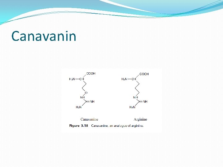 Canavanin 