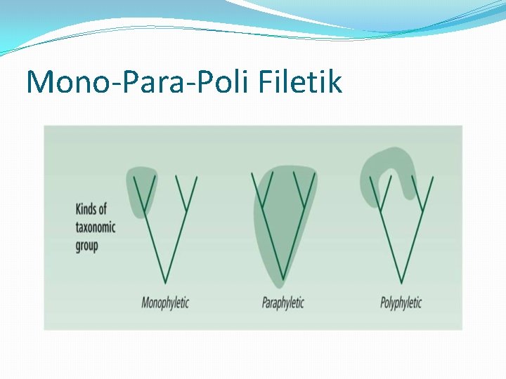 Mono-Para-Poli Filetik 