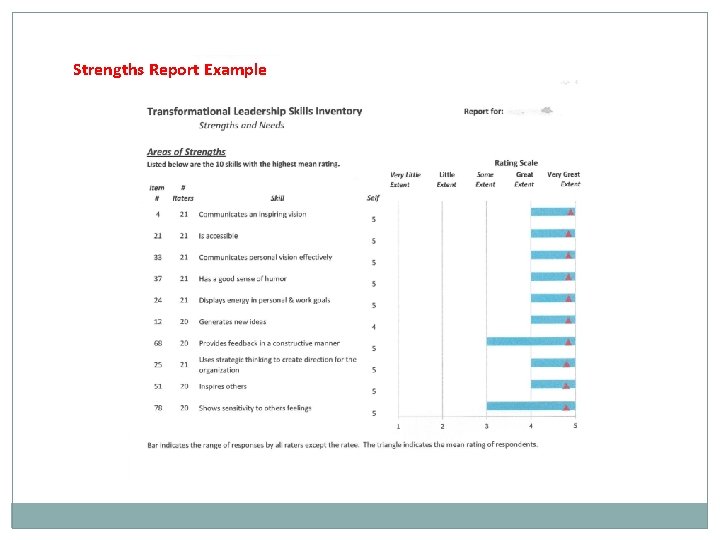 Strengths Report Example 