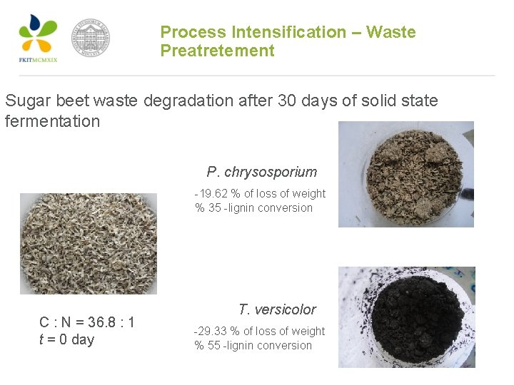 Process Intensification – Waste Preatretement Sugar beet waste degradation after 30 days of solid