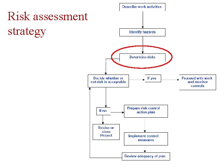 Risk assessment strategy 