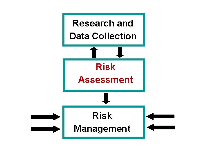 Research and Data Collection Risk Assessment Risk Management 