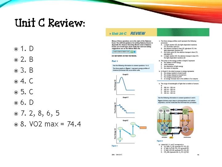 Unit C Review: 1. 2. 3. 4. 5. 6. 7. 8. D B B