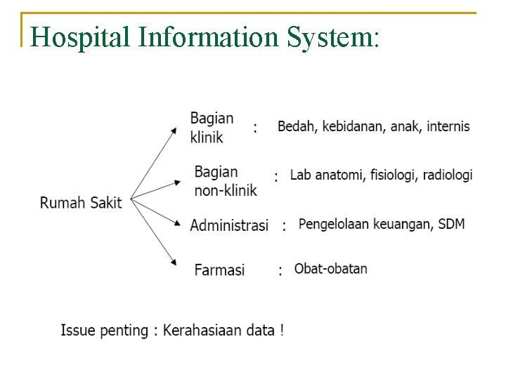 Hospital Information System: 