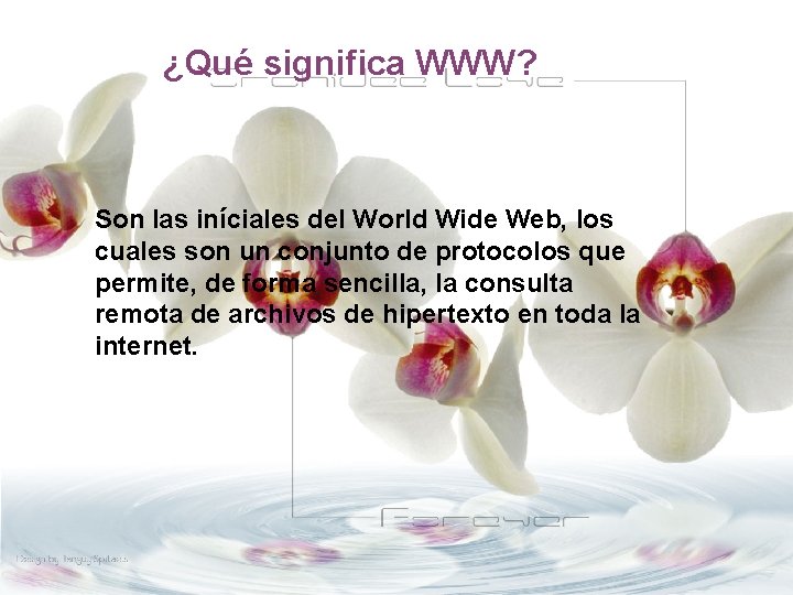 ¿Qué significa WWW? Son las iníciales del World Wide Web, los cuales son un