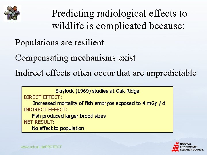 Predicting radiological effects to wildlife is complicated because: Populations are resilient Compensating mechanisms exist