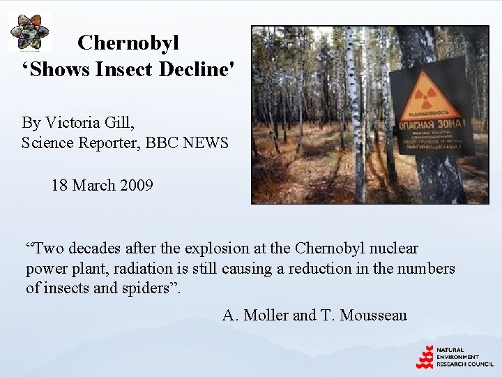 Chernobyl ‘Shows Insect Decline' By Victoria Gill, Science Reporter, BBC NEWS 18 March 2009