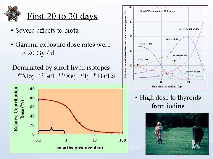 First 20 to 30 days • Severe effects to biota • Gamma exposure dose