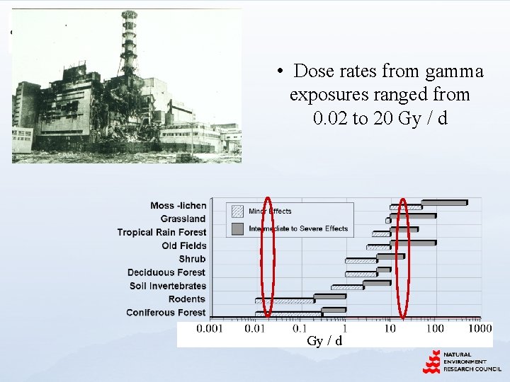  • Dose rates from gamma exposures ranged from 0. 02 to 20 Gy