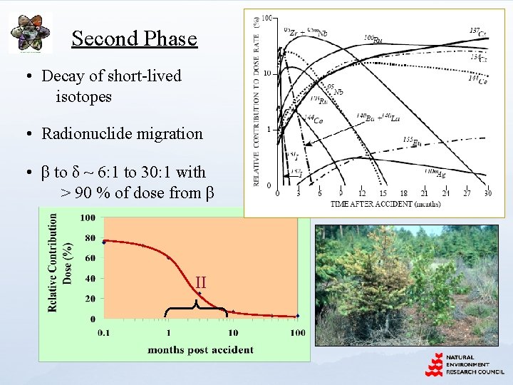 Second Phase • Decay of short-lived isotopes • Radionuclide migration • β to δ