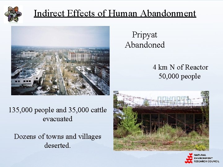 Indirect Effects of Human Abandonment Pripyat Abandoned 4 km N of Reactor 50, 000