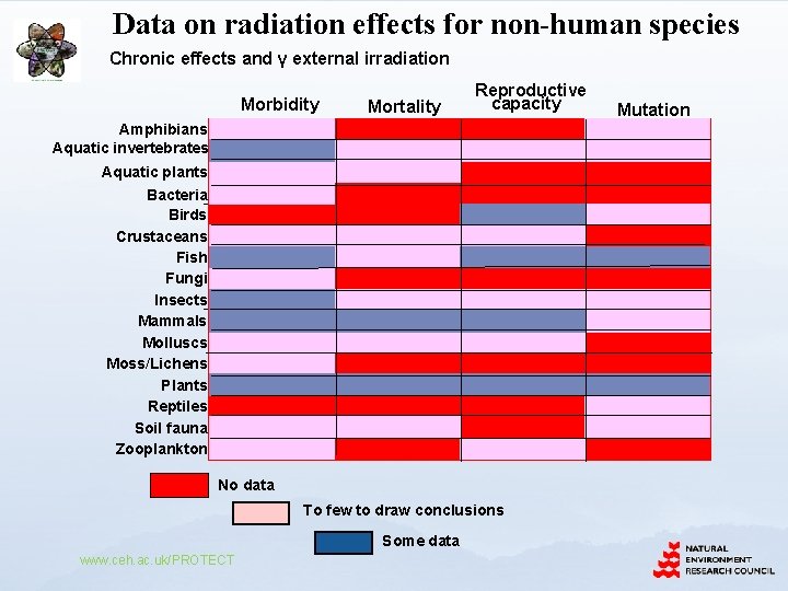 Data on radiation effects for non-human species Chronic effects and γ external irradiation Morbidity