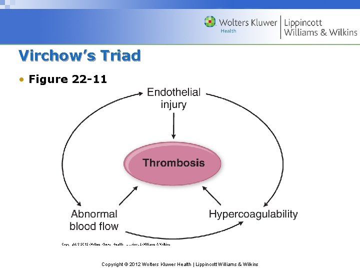 Virchow’s Triad • Figure 22 -11 Copyright © 2012 Wolters Kluwer Health | Lippincott