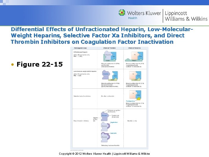 Differential Effects of Unfractionated Heparin, Low-Molecular. Weight Heparins, Selective Factor Xa Inhibitors, and Direct