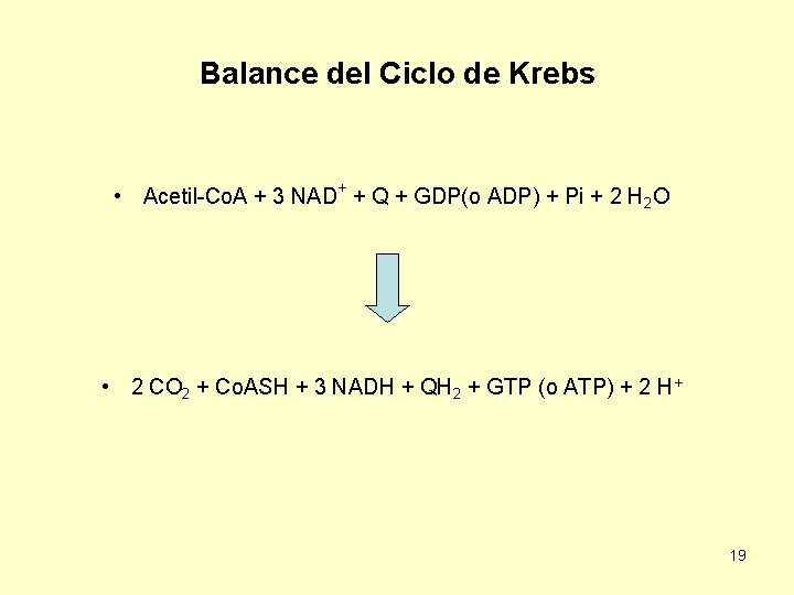 Balance del Ciclo de Krebs • Acetil-Co. A + 3 NAD+ + Q +