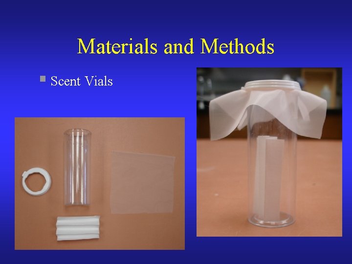 Materials and Methods § Scent Vials 