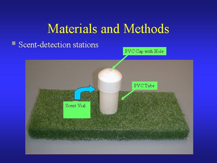 Materials and Methods § Scent-detection stations PVC Cap with Hole PVC Tube Scent Vial