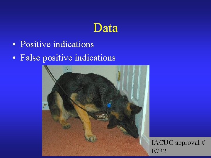 Data • Positive indications • False positive indications IACUC approval # E 732 