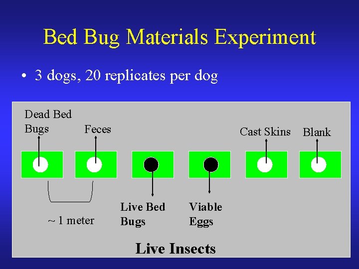 Bed Bug Materials Experiment • 3 dogs, 20 replicates per dog Dead Bed Bugs