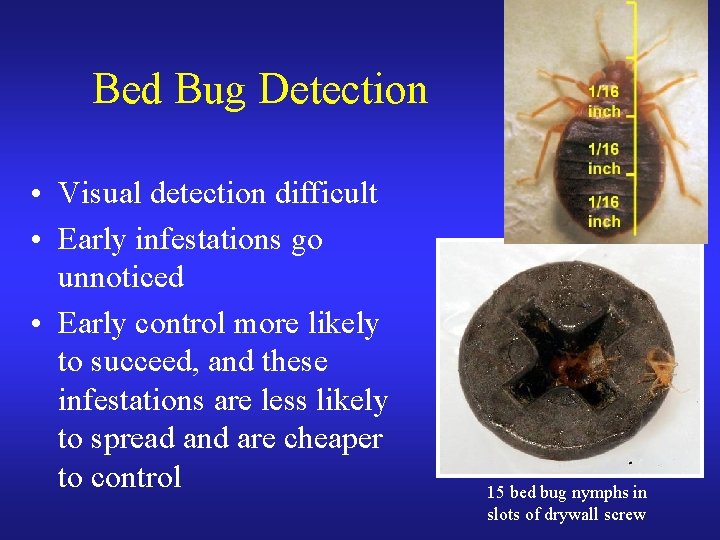 Bed Bug Detection • Visual detection difficult • Early infestations go unnoticed • Early