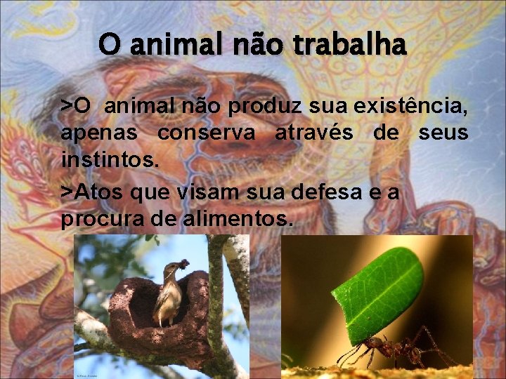 O animal não trabalha >O animal não produz sua existência, apenas conserva através de