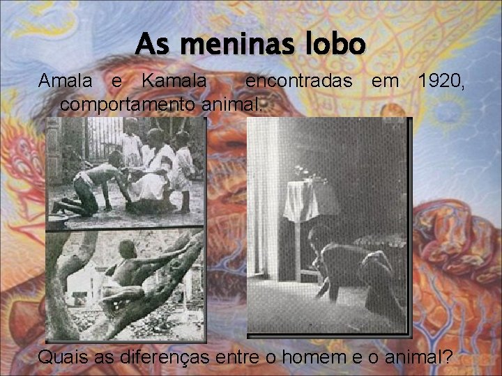 As meninas lobo Amala e Kamala encontradas em 1920, comportamento animal. Quais as diferenças