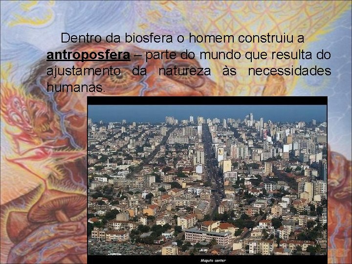 Dentro da biosfera o homem construiu a antroposfera – parte do mundo que resulta
