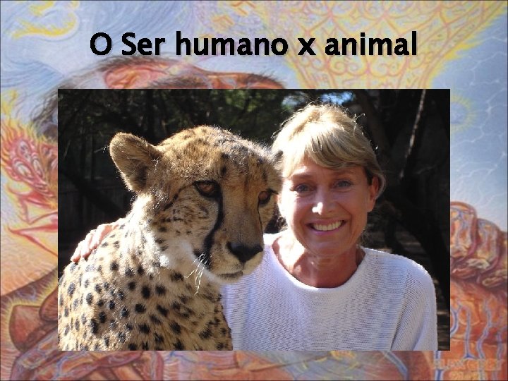 O Ser humano x animal 