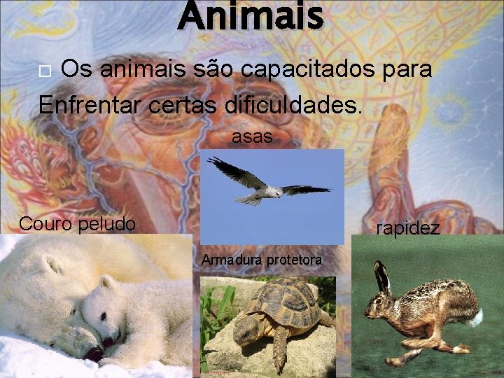Animais Os animais são capacitados para Enfrentar certas dificuldades. asas Couro peludo rapidez Armadura