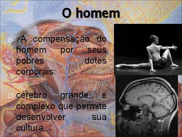 O homem >A compensação do homem por seus pobres dotes corporais: cérebro grande e