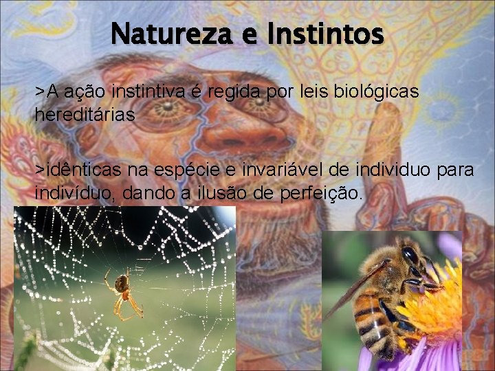 Natureza e Instintos >A ação instintiva é regida por leis biológicas hereditárias >idênticas na