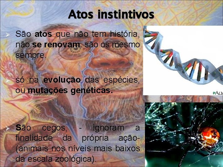 Atos instintivos Ø São atos que não tem história, não se renovam, são os